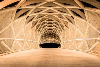 Fietersbrug de Netkous