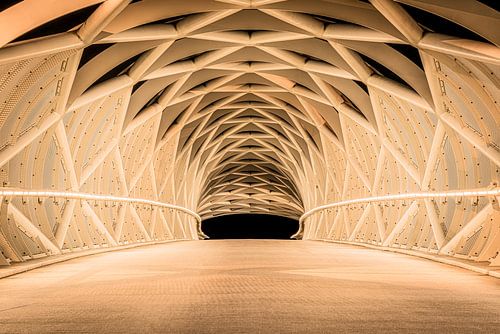 Fietersbrug de Netkous