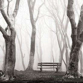 Ein nebulöser Blick von Lars van de Goor