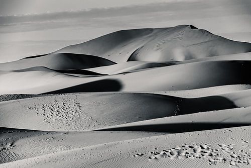Ochtendlicht op Erg Chagaga; Marokkanse Sahara