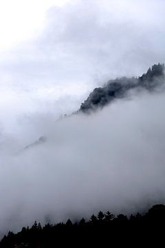 Brouillard matinal sur Thomas Jäger