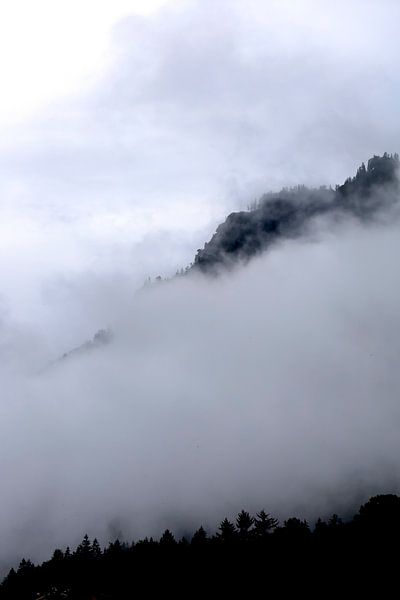 Morgennebel in den Voralpen von Thomas Jäger
