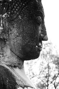 Statue de Bouddha au Wat Phra Mahathat, Ayyuthaya (Thaïlande) sur Femke Ketelaar