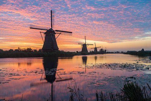 Kinderdijk in Holland met zonsopgang