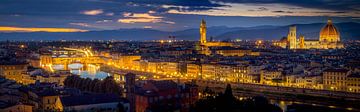Florence Skyline at night by Dennis Donders