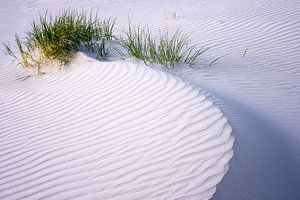 Terschelling, plage à l'ouest