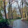Stadtpark Zwolle von Erwin Zeemering