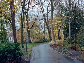 City Park Zwolle by Erwin Zeemering