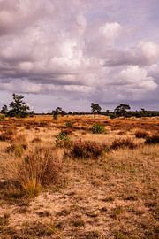 Heideblick Wolkiger Himmel 10 - Loonse en Drunense Duinen von Deborah de Meijer