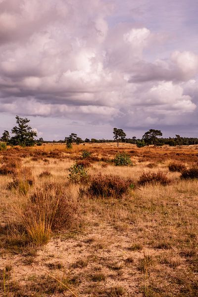 Heath View Cloudy Sky 10 - Loonse en Drunense Duinen van Deborah de Meijer