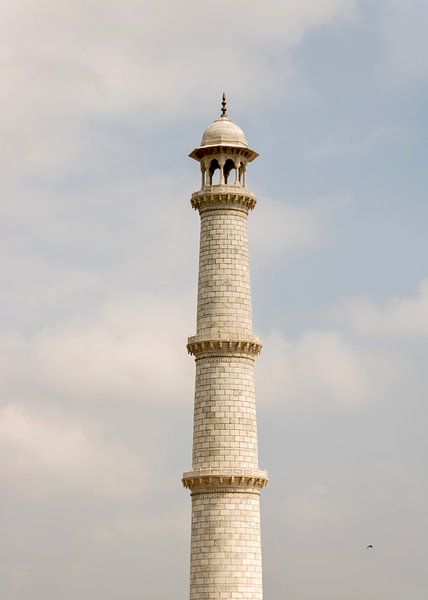 De toren van de Taj Mahal van Maarten Borsje