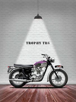 Triumph Trophy 1963 van Slukusluku batok