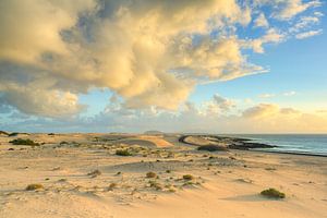 Dünen bei Corralejo auf Fuerteventura