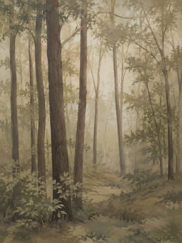 Quiet Woodland