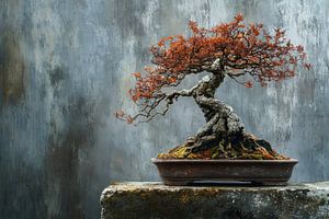 Ein alter Ahorn-Bonsai strahlt Weisheit und Stärke aus