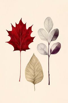 Herfstkleuren van stilte Bladeren in zacht licht Natuur in z van Poster Art Shop
