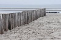 Paaltjes naar zee Hollum Ameland