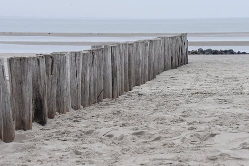 Paaltjes naar zee Hollum Ameland
