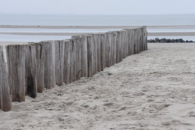 Paaltjes naar zee Hollum Ameland by Willie Kamminga