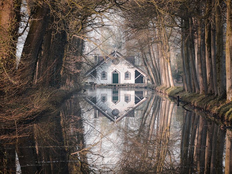 Hidden Pearl by Angela Kraan