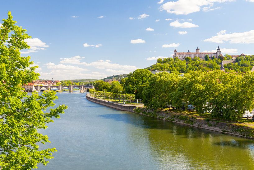 Sommer in Würzburg von Jan Schuler