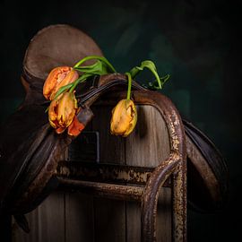 French tulip 3 by Hille Monster