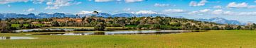 Idyllisch uitzicht op mediterraan landschap op het eiland Mallorca, Spanje van Alex Winter