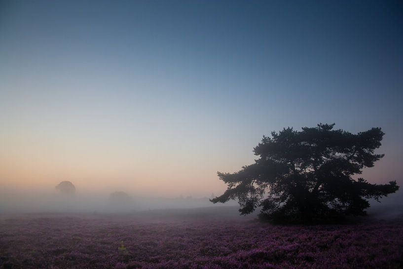 Heidelandschap met mist van Evelyne Renske