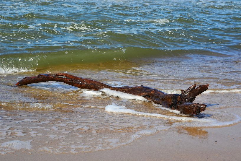 flotsam by Heiko Kueverling