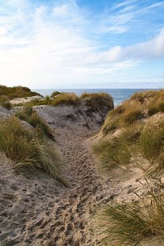 Strandoversteek in Denemarken aan zee van Martin Köbsch