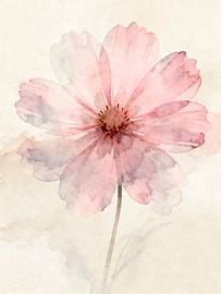 Cosmea in dusky pink and mauve – a poetic watercolour painting