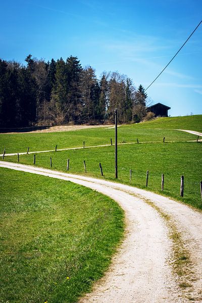 The Alpine Path by D.R.Fotografie