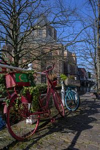 Cycling in Delft