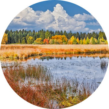 Beleef de herfst in Drenthe