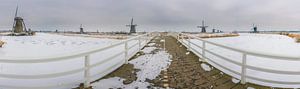 Panorama Winter kinderdijk