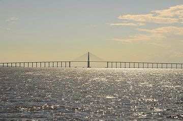 Ponte Rio Negro sur Karel Frielink