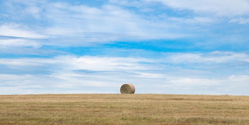 Heu Rundballen auf einer trockenen Sommerwiese von Holger W. Spieker