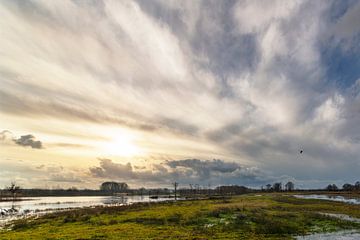 Empese- en Tondenseheide 7 van Maerten Prins