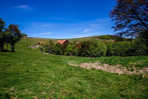 View to the Alsatian Belchen