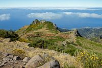 Madeira