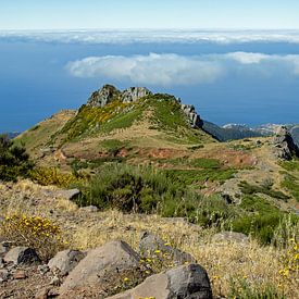 Madeira von Eva Rusman