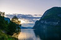 Zonsondergang over het Aurlandsfjord in Noorwegen tijdens een mooie zomerdag van Sjoerd van der Wal Fotografie thumbnail