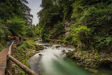 Vintgar Gorge van Maurice Hoogeboom