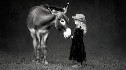 The Whispering Donkey and the Whispering Girl | A Black and White Trust
