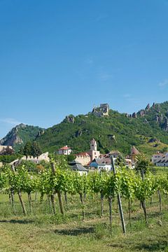 Wijnbouw bij het dorp Dürnstein in de Wachau in Oostenrijk