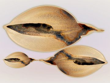 Warm Shell Dawn Aqua 985 - Imprimé côtier doux et minimaliste dans les tons sable et lumière nacrée sur Saskia Mensink PRINTS