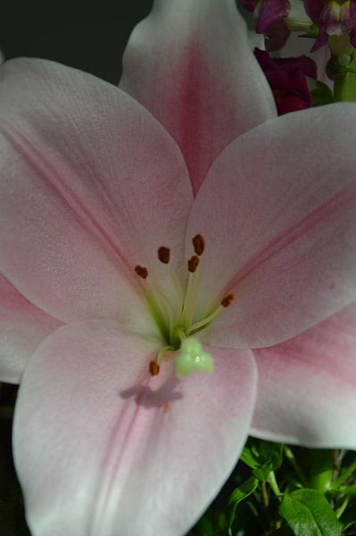 Schöne Blume von Ellen Voorn