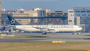Lufthansa Airbus A340-300 in den Farben der Star Alliance.