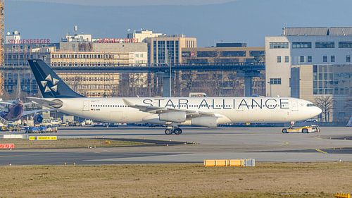 Lufthansa Airbus A340-300 in Star Alliance livery.