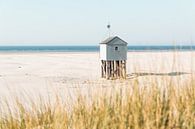 Beach House Behind the Dunes by Wouter van der Weerd thumbnail